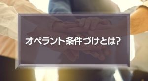 オペラント条件づけとは？
